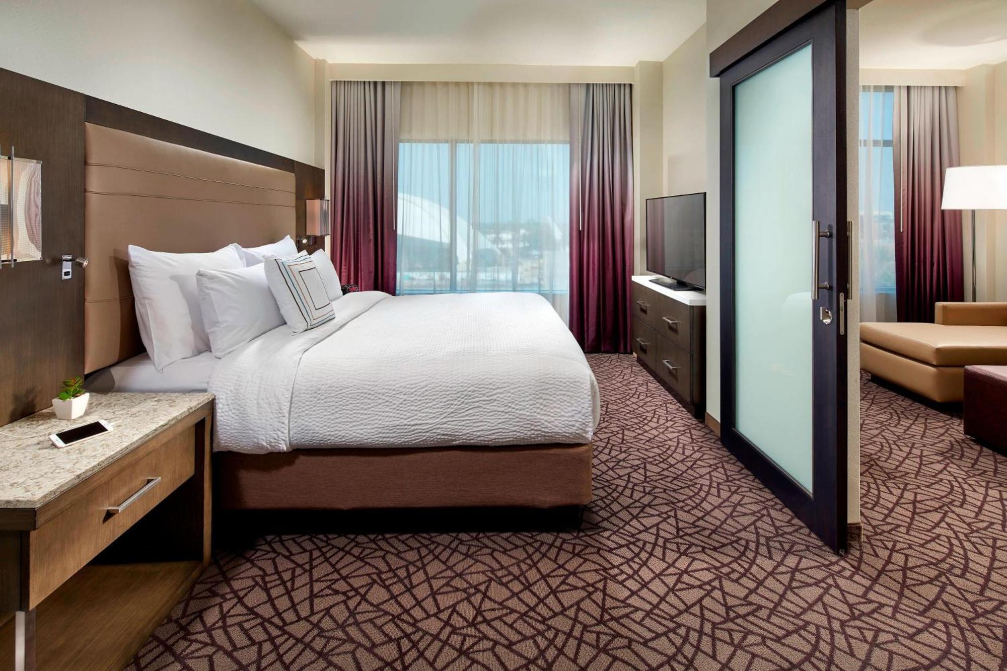 Deluxe One Bedroom 1 King Suite with Sofa Bed