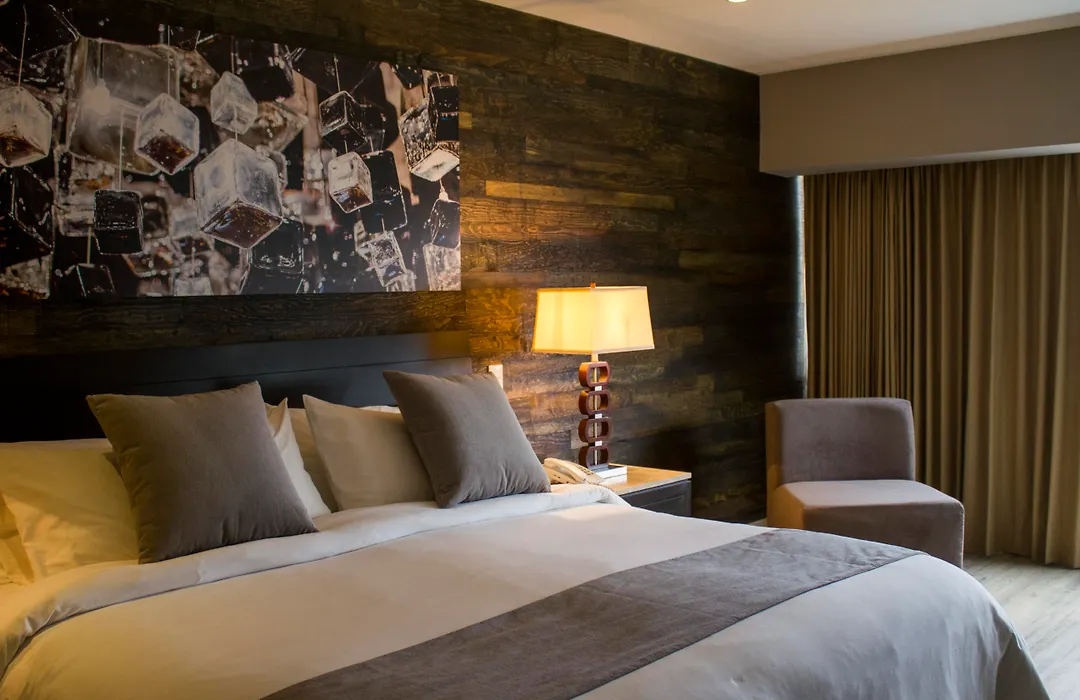 Ventura Hotel & Suites Interlomas-1