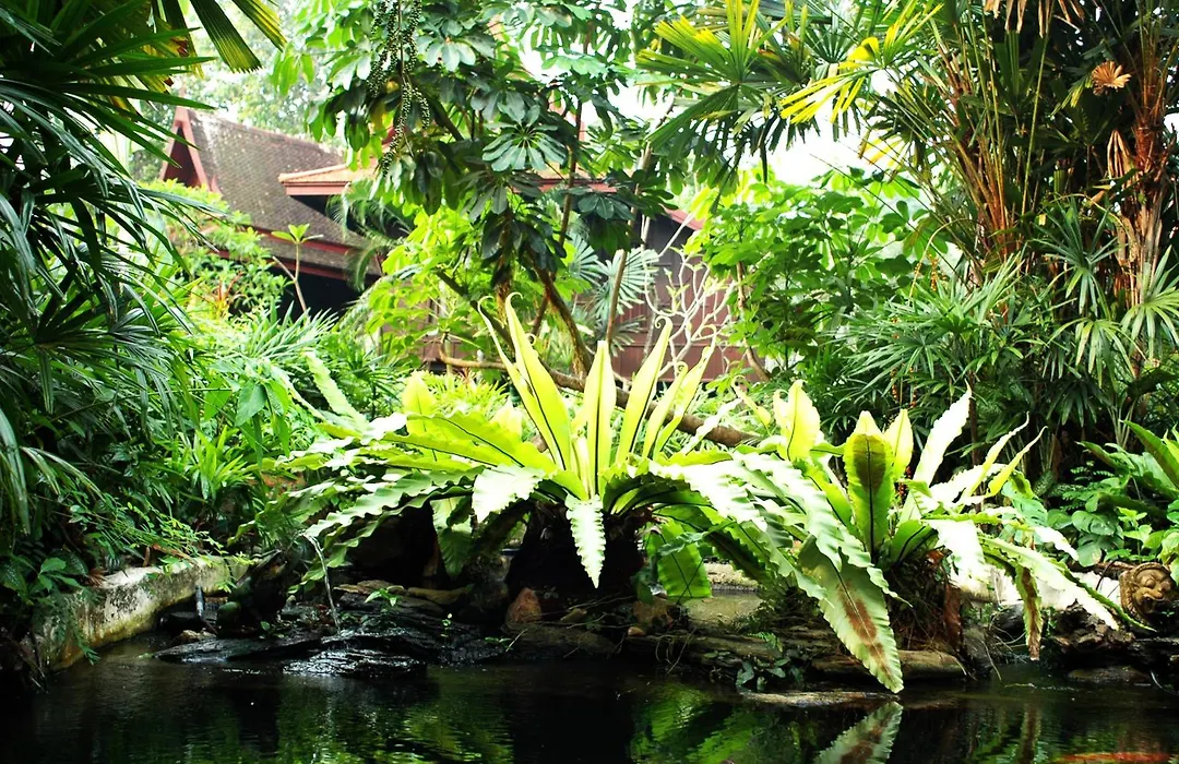 Sugar Hut Resort & Restaurant-1