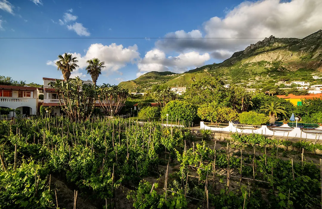 Residence San Domenico-1