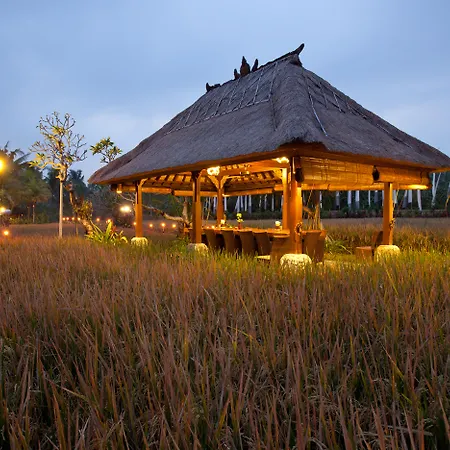 Bebek Tepi Sawah Restaurant & Villas-3