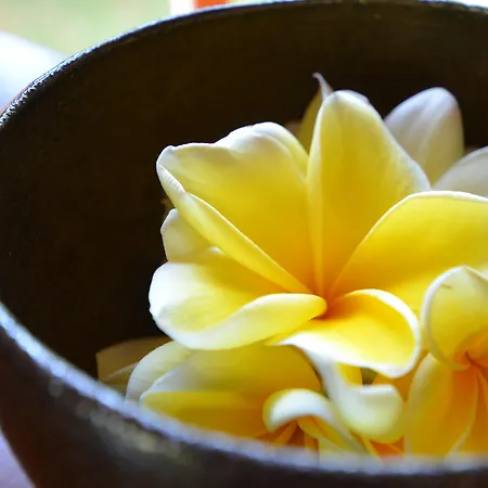 The Ulin Villas And Spa - By Karaniya Experience - Chse Certified-2