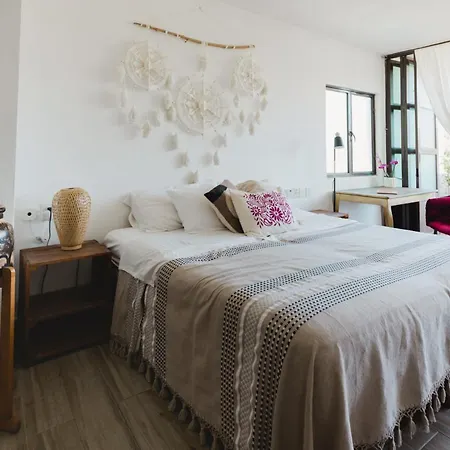 Casa Fenix-3