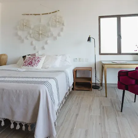 Casa Fenix-2