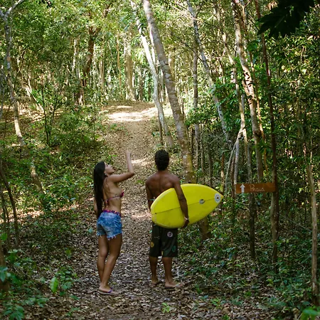 Bosque da Praia - ePipa-3
