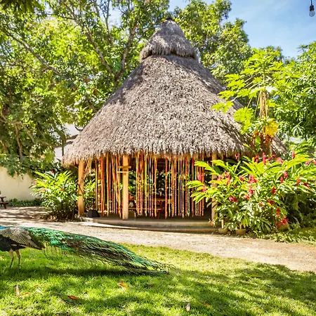 Hotel Villas Sayulita-3