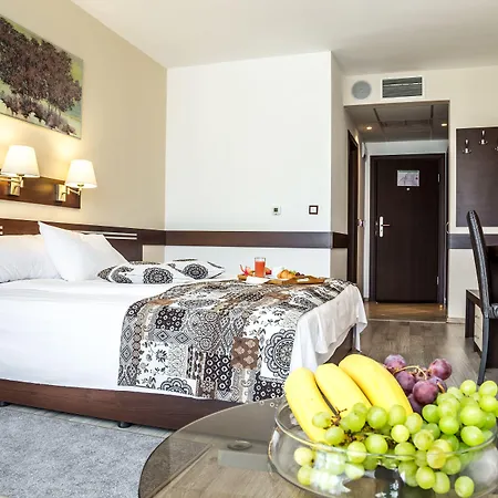 Grami Hotel Sofia-2