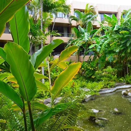 Aston Paki Maui-2