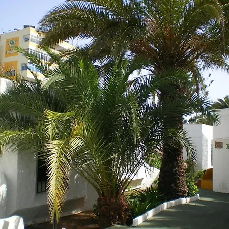Bungalows Tenesoya Gay Men Only-2