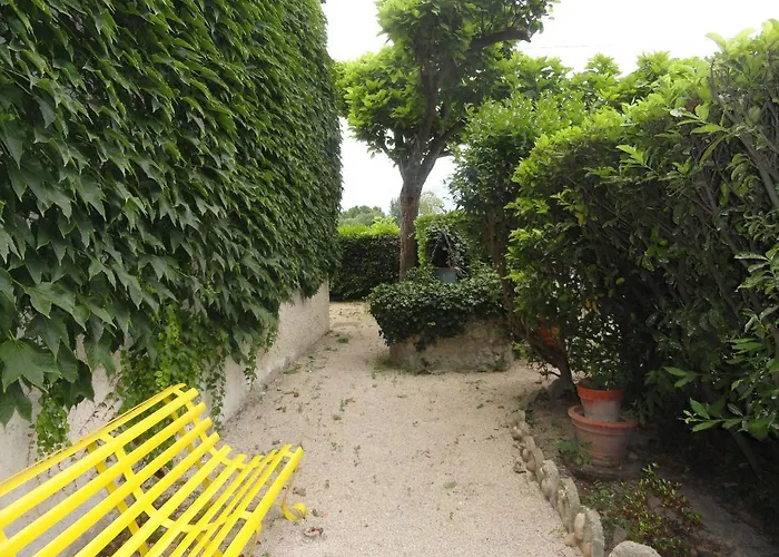Hôtel accueillant les animaux: Hotel de l'île
