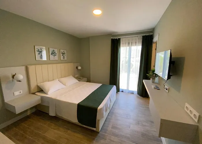 3 star hotel: Hotel Olivia