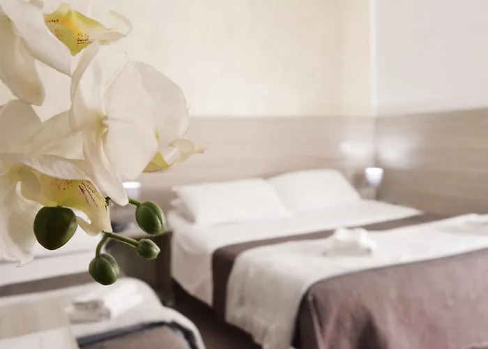 Hotel barato: Hotel Colombo