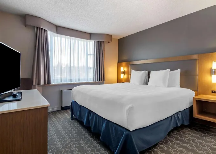 Best Western Plus Airport
