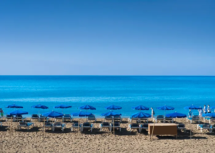 Hotel: Hotel Floresta