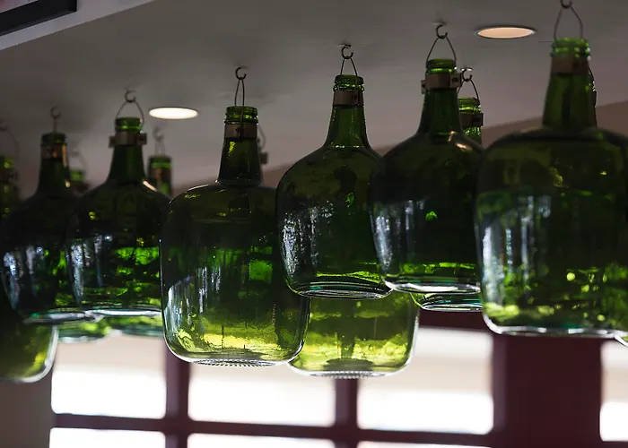 Huisdiervriendelijk hotel: Hotel Toboso Chaparil