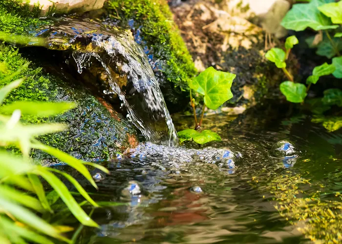 Hotel: Mercure Berlin Mitte