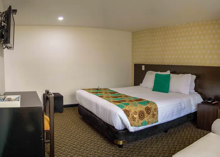 Hotel: Hotel Castellana 95 Bogota By Hoteles Confort 80