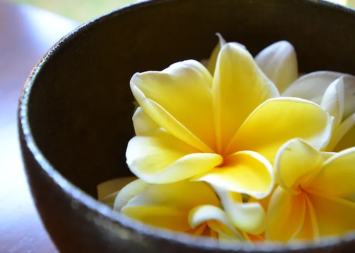 The Ulin Villas And Spa - By Karaniya Experience - Chse Certified