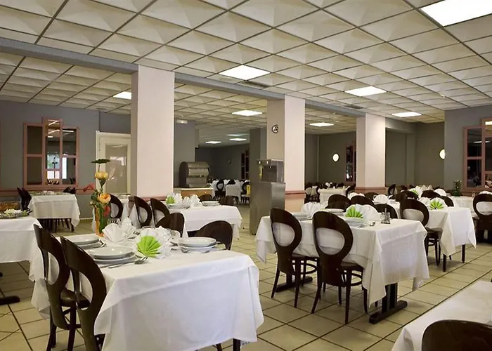 Hôtel accueillant les animaux: Hôtel Alliance