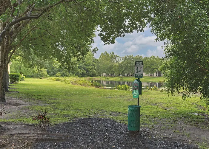 Comfort Inn & Suites Tampa North I-75