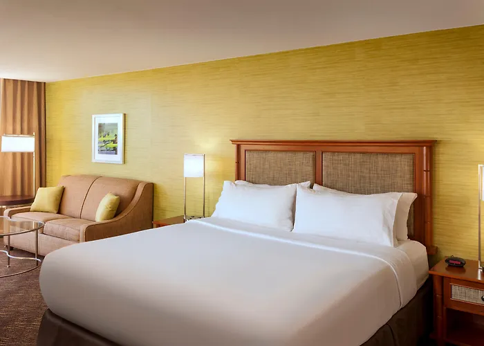 Hotels with pool Holiday Inn Austin -Town Lake By Ihg