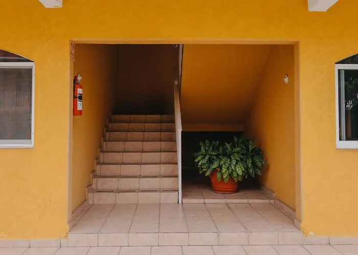 Cheap hotel: Hotel Rosalinda'S