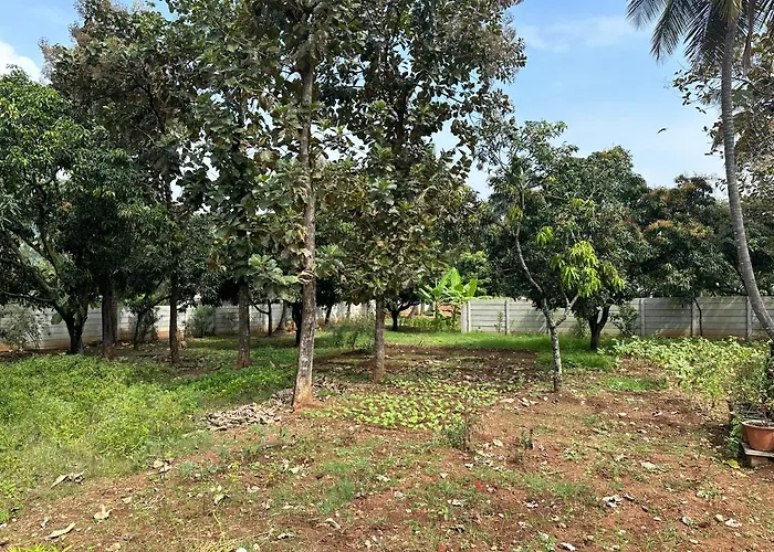 Rustic Village Farmhouse