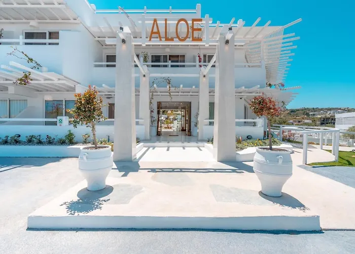  Aloe - Adults Only