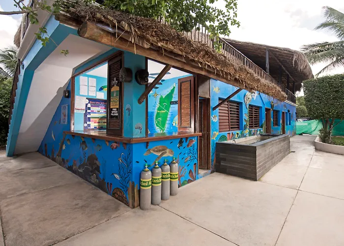 Luxury hotel only: Iberostar Waves Cozumel