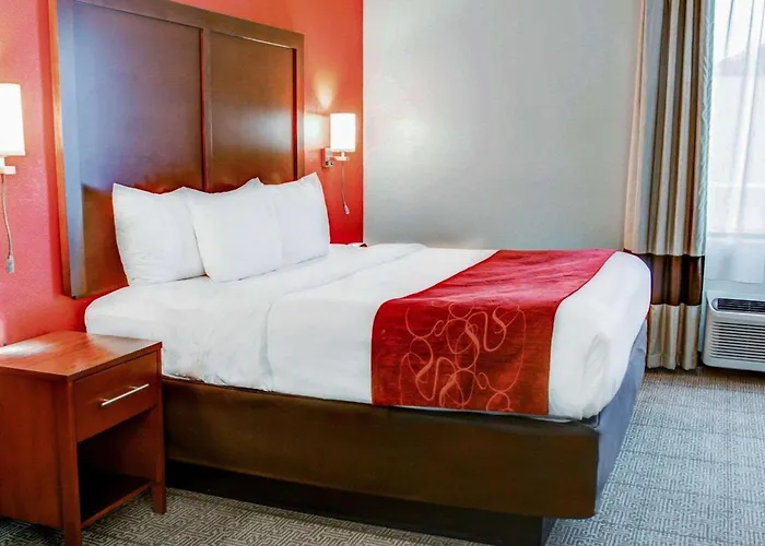 Resort: Comfort Suites Tyler South