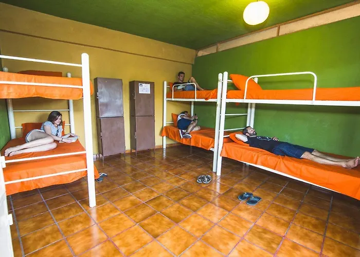 Oasis Hostel