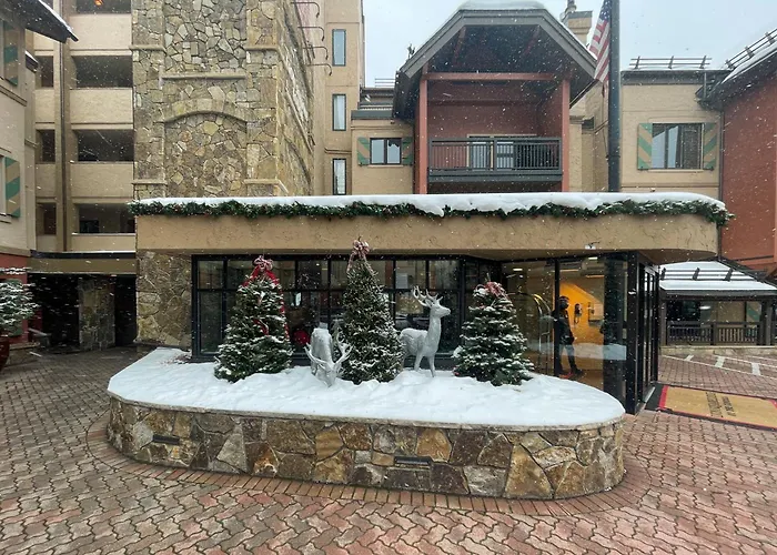 Hotel near College: Lion Square Lodge