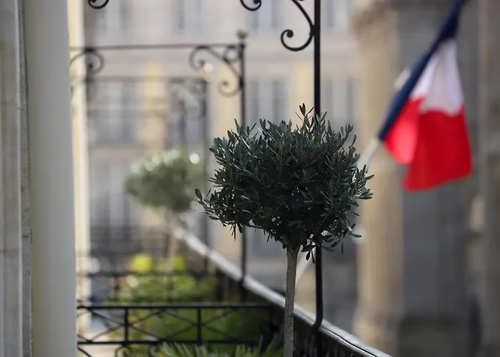 Hôtel accueillant les animaux: Hôtel Majestic