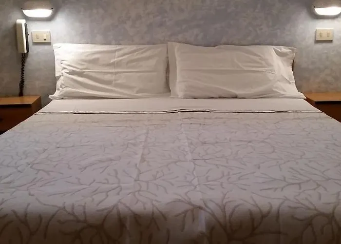 Hotel familiare: Hotel Bing