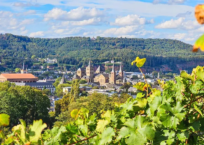 Vintage Petrisberg