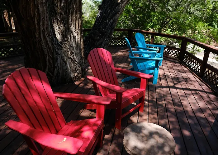 Pets Allowed Hotel Creekside 61 East