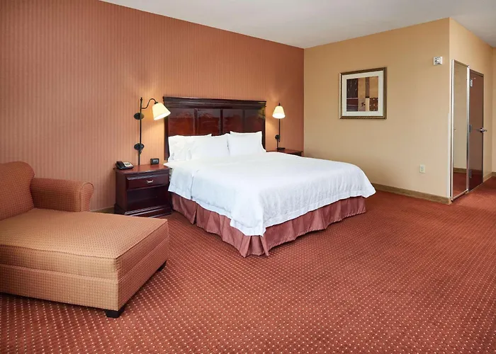 Jacuzzi hotel: Hampton Inn & Suites Austin South Buda