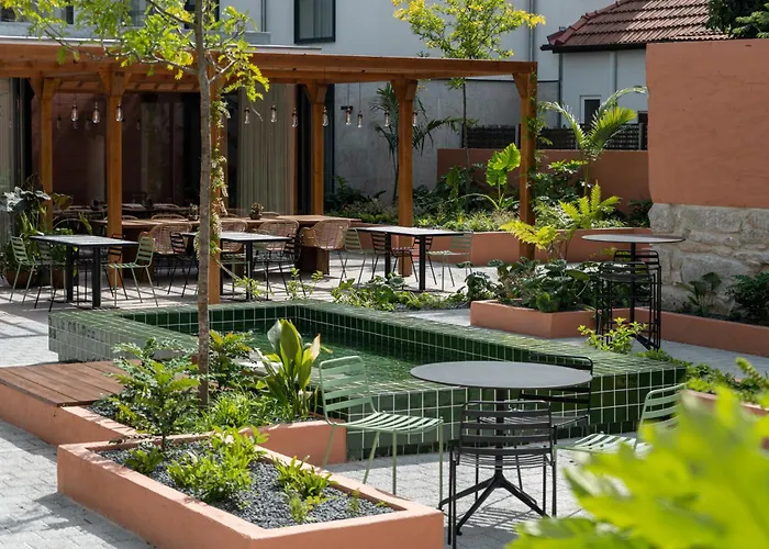 Editory Garden