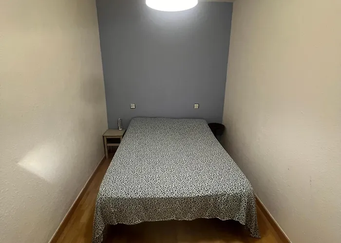 Hotel que admite mascotas: Aparta estudio