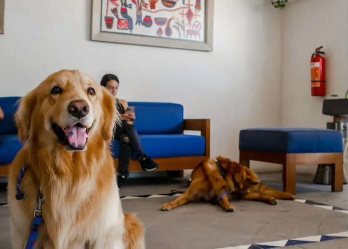 Hotel with view: Puerto De Luna Pet Friendly And Family Suites