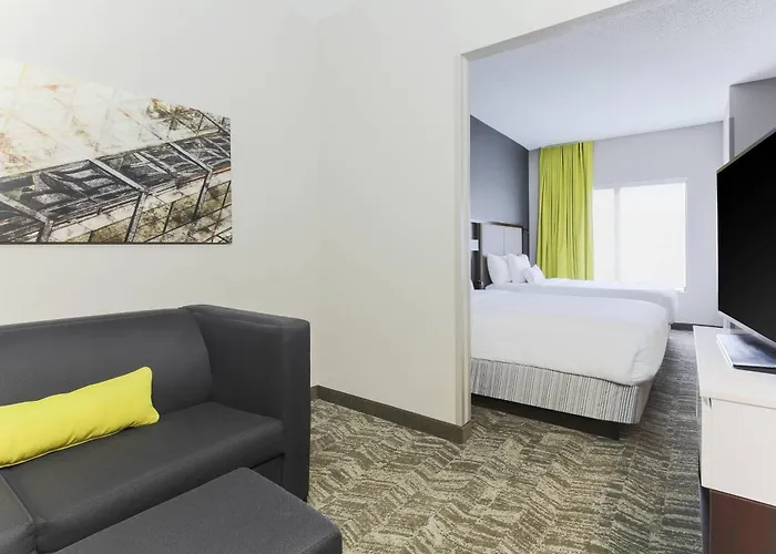 Boutique hotel only: Springhill Suites By Marriott Austin Parmer/Tech Ridge