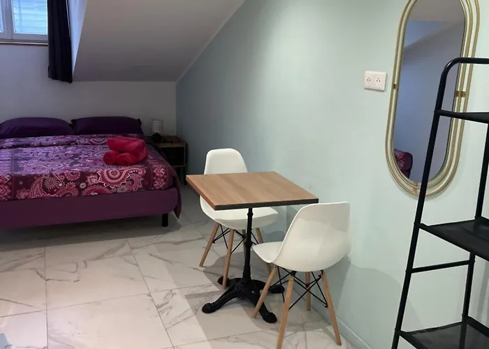 Hôtel accueillant les animaux: Hostel Lyonnais