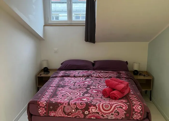 Hôtel accueillant les animaux: Hostel Lyonnais