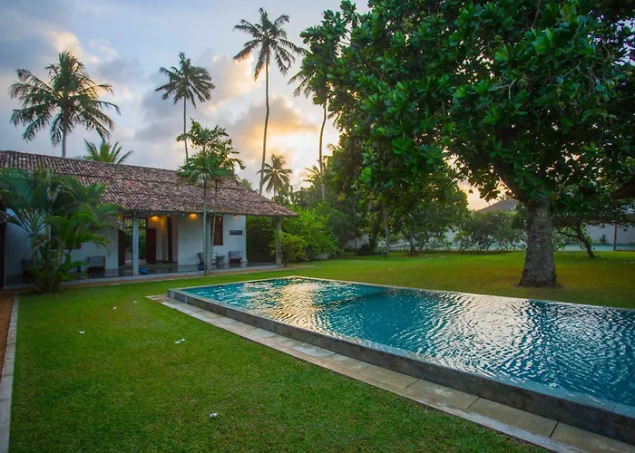 The Frangipani Tree By Edwards Collection - Thalpe