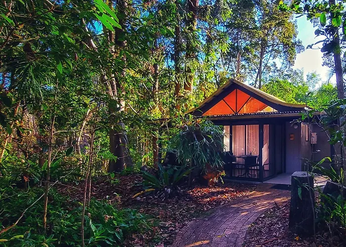 Perros hoteles Rainforest