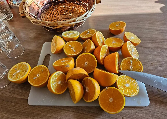 Albergo economico: Hotel Bohemia