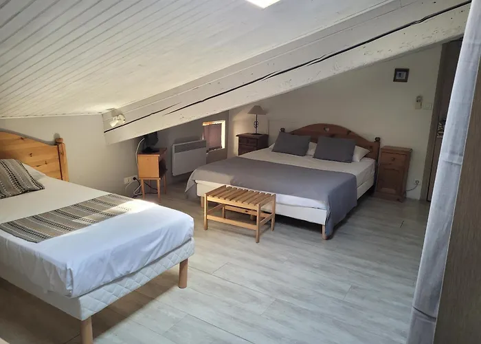 Hôtel accueillant les animaux: Hotel Boquier
