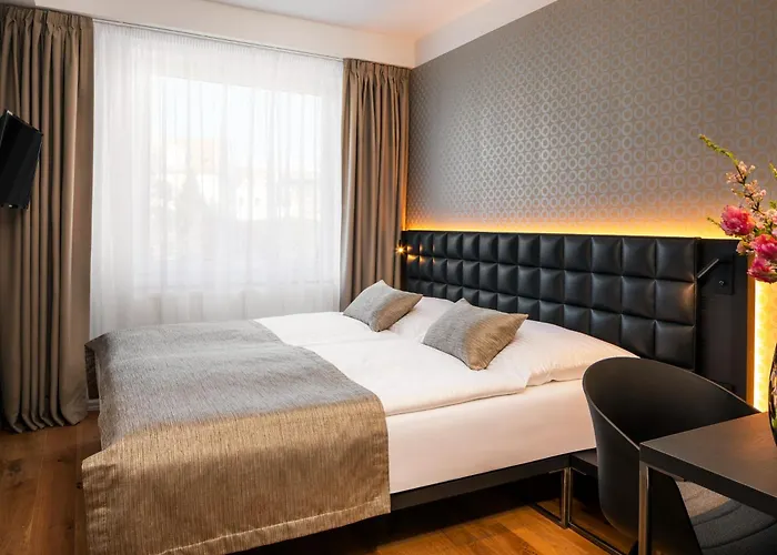 Hotel que admite mascotas: Hotel Aida