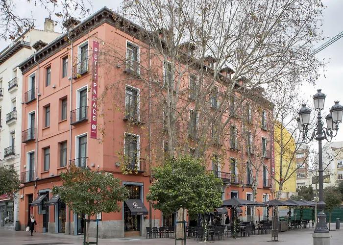 Hotel que admite mascotas: Petit Palace Plaza del Carmen