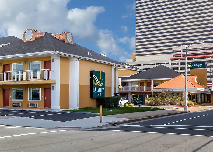 3 star hotel: Quality Inn Flamingo